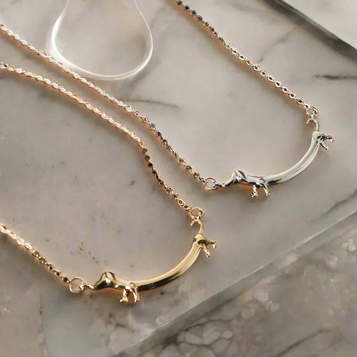Collier Dachshund Doré